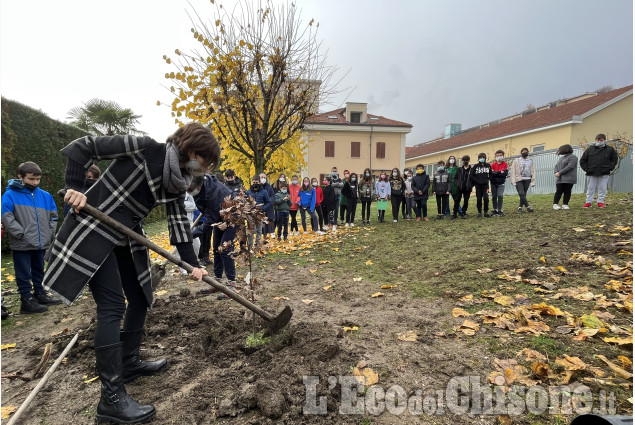 Pinerolo: "Querce della libertà" nelle scuole di Pinerolo