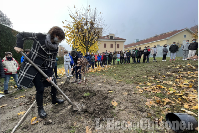 Pinerolo: "Querce della libertà" nelle scuole di Pinerolo