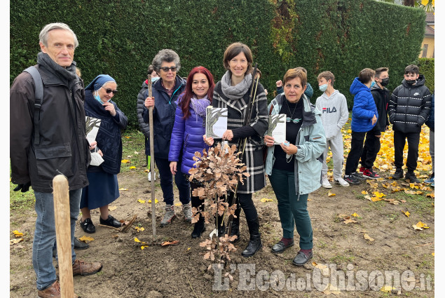 Pinerolo: "Querce della libertà" nelle scuole di Pinerolo