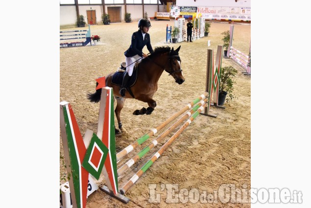 Pinerolo: Equitazione ,ancora concorso alla scuola Nazionale di Abbadia