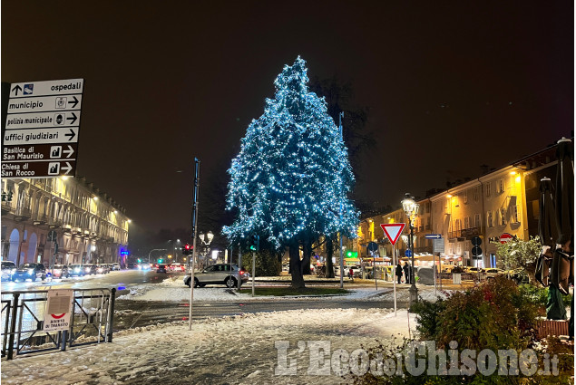 Pinerolo:Si accende l'albero in centro, con l'Immacolata iniziano le feste