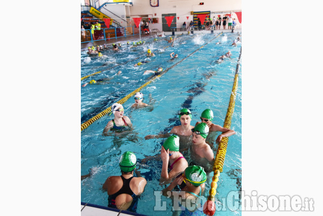Pinerolo:Nuoto per il Trofeo Valmora vasca affollata