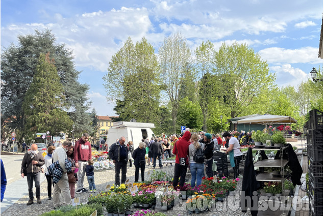 Cumiana : La fiera della botanica