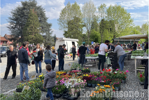 Cumiana : La fiera della botanica