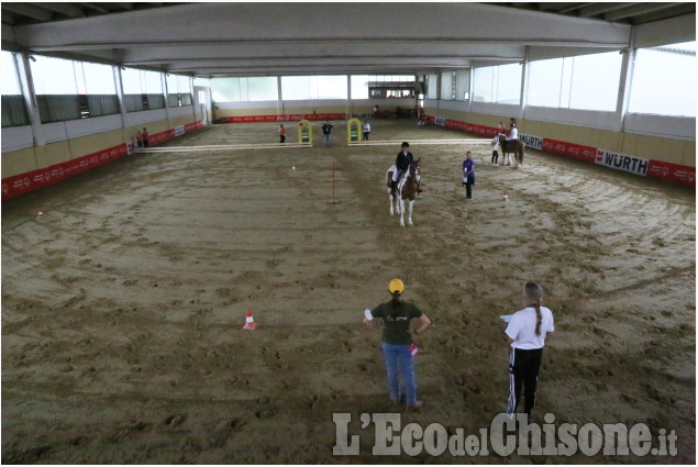 None: equitazione, Special Olimpycs all’Horsebridge