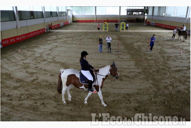 None: equitazione, Special Olimpycs all’Horsebridge