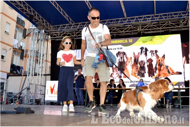 Nichelino: orgoglio a 4 zampe nel Dogpride di domenica 18