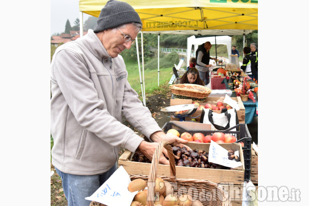 Pinerolo: Costagrande la castagnata