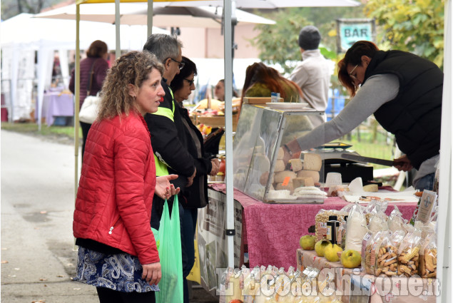 Pinerolo: Costagrande la castagnata