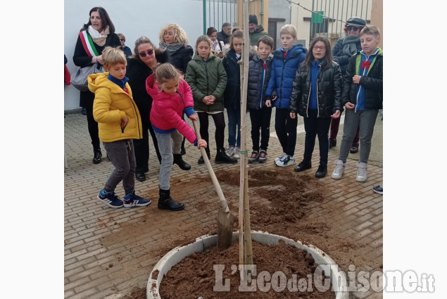 Osasio: giornata dell'albero