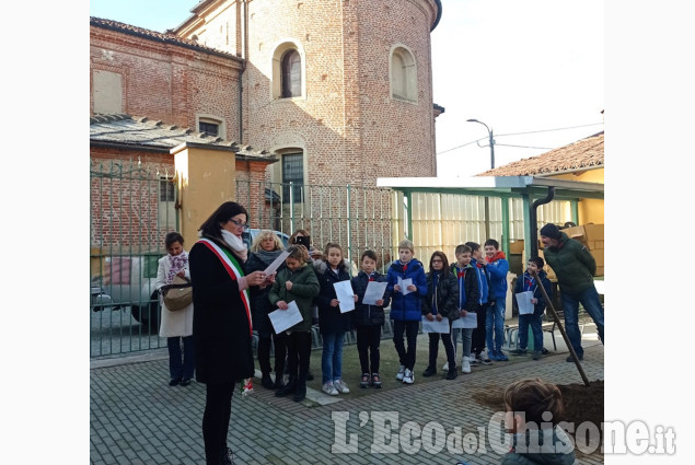 Osasio: giornata dell'albero