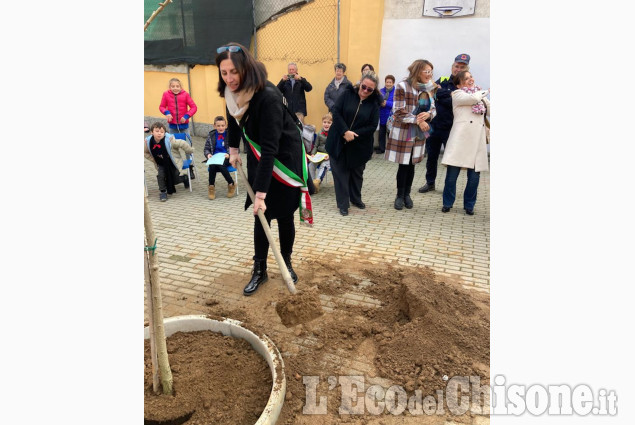 Osasio: giornata dell'albero