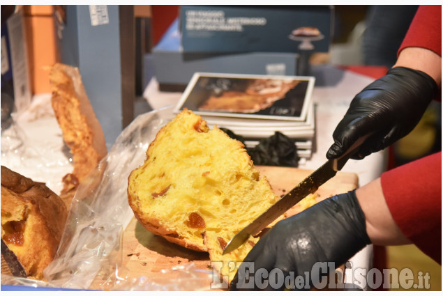 Pinerolo: Panettone in vetrina 