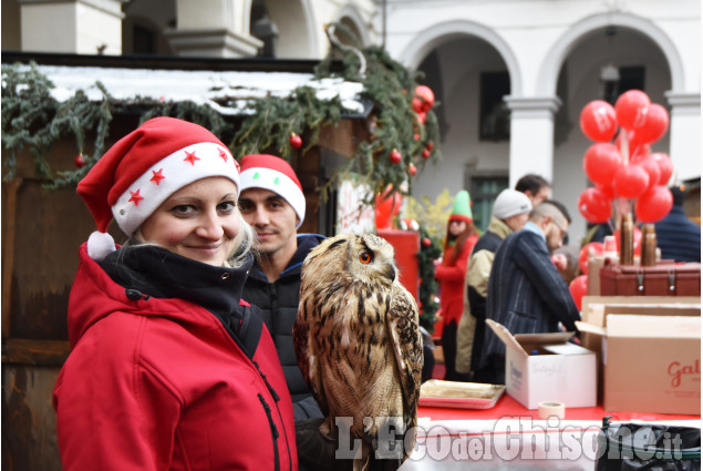 Pinerolo: Eventi Natalizi nel centro storico