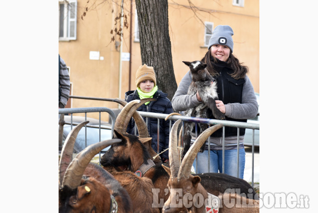 Pinerolo: Frazione Abbadia Festa San Antonio Abate Benedizione degli animali 