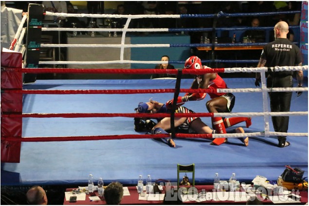 “Warriors of the ring, il galà di kick-boxing a Villafranca 