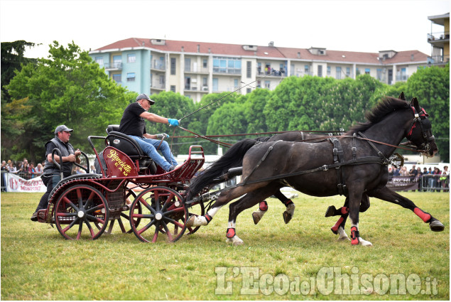 Pinerolo: Grande partecipazione alla fiera di primavera 