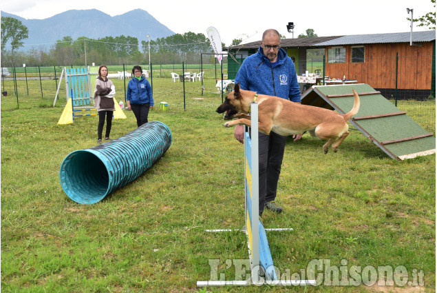 Cumiana: Giornata  in compagnia degli amici a quattro zampe,open-day "amici di Zampa"