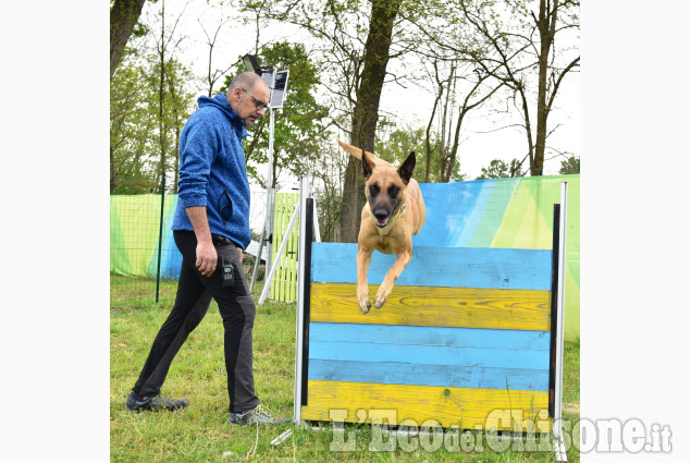 Cumiana: Giornata  in compagnia degli amici a quattro zampe,open-day "amici di Zampa"