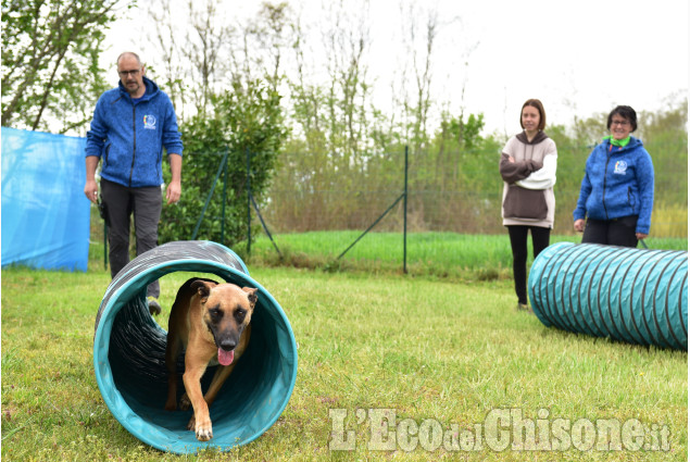 Cumiana: Giornata  in compagnia degli amici a quattro zampe,open-day "amici di Zampa"