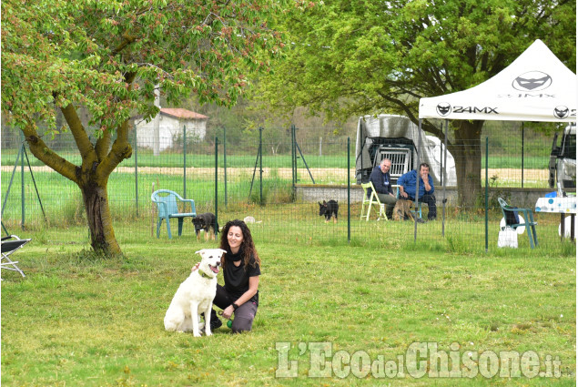 Cumiana: Giornata  in compagnia degli amici a quattro zampe,open-day "amici di Zampa"