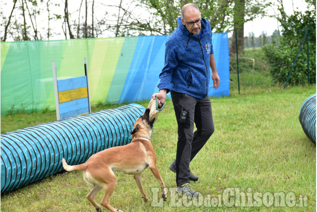 Cumiana: Giornata  in compagnia degli amici a quattro zampe,open-day "amici di Zampa"