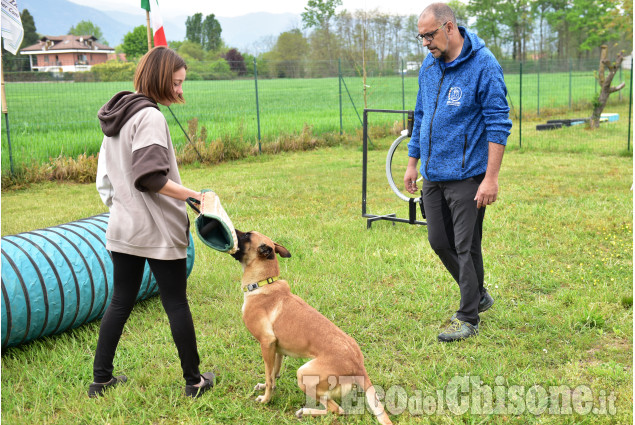 Cumiana: Giornata  in compagnia degli amici a quattro zampe,open-day "amici di Zampa"