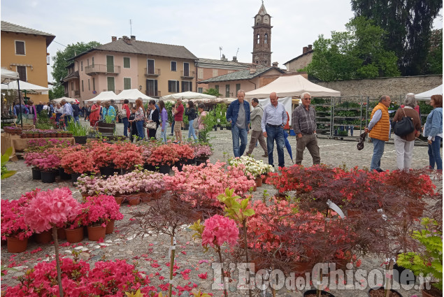 Cavour in fiore