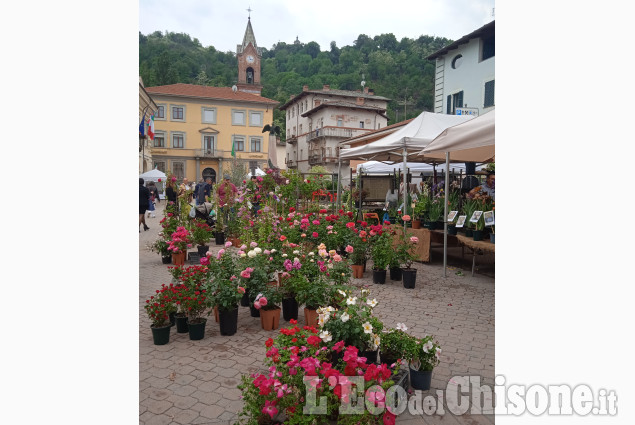 Cavour in fiore