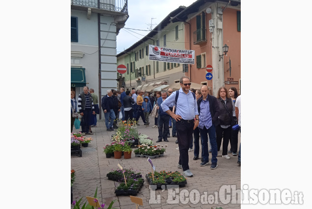Cavour in fiore