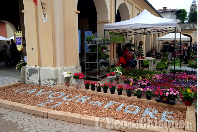 Cavour in fiore