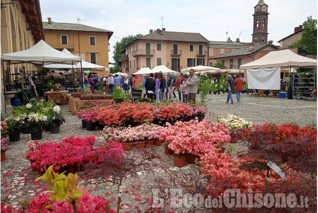 Cavour in fiore