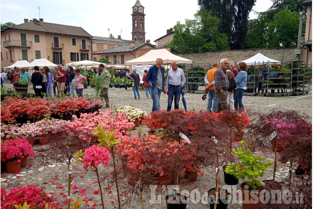 Cavour in fiore