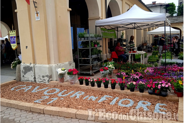 Cavour in fiore