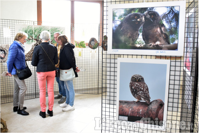 Frossasco "Green Fest"mostra fotografica e dipinti