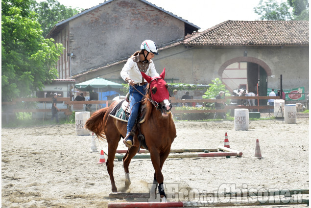Pinerolo:Campionato regionale Gimkana western & english 2023