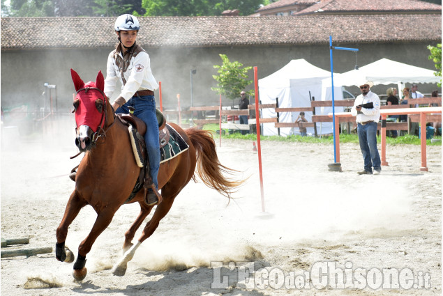 Pinerolo:Campionato regionale Gimkana western & english 2023