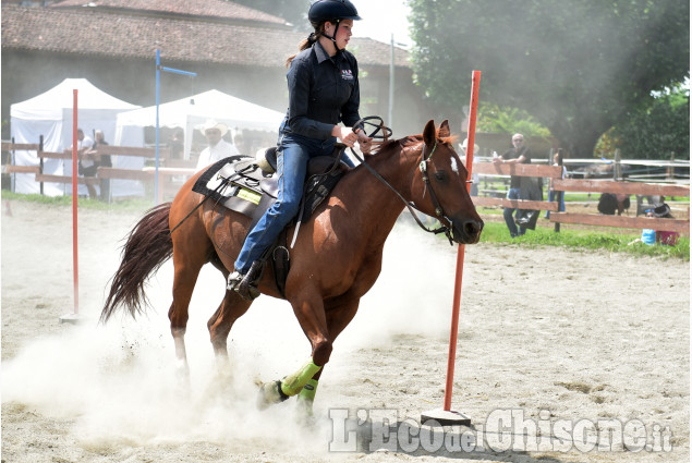 Pinerolo:Campionato regionale Gimkana western & english 2023
