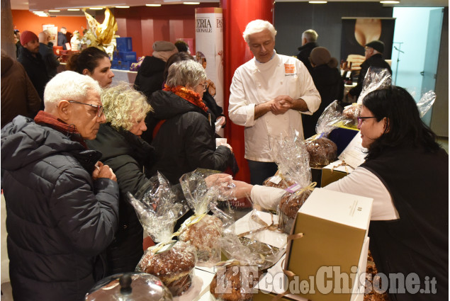 Pinerolo, Panettone in vetrina