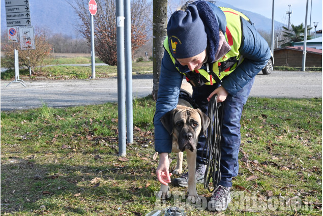 Cumiana: Unità cinofila operativa della Croce Verde associata Anpas