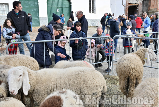 Pinerolo Abbadia la festa di Sant'Antonio