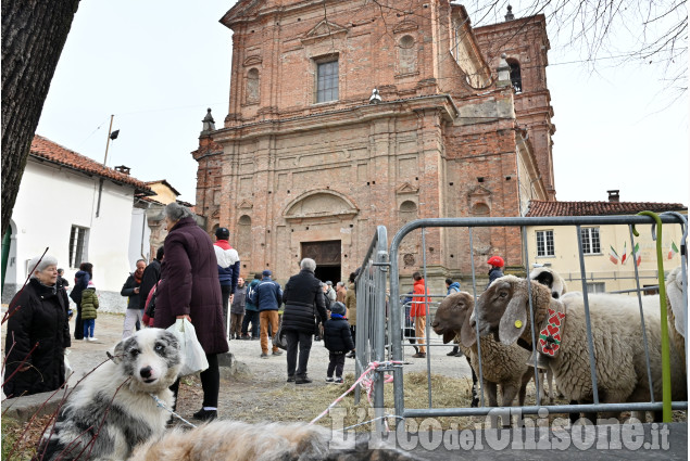 Pinerolo Abbadia la festa di Sant'Antonio