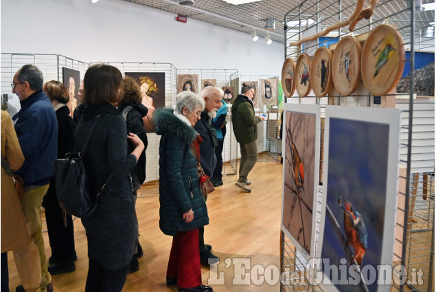 Pinerolo ,mostra fotografica collettiva " Madre terra"