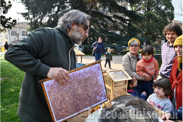 Cumiana,Un progetto a tutela degli insetti impollinatori realizzato insieme alle  scuole