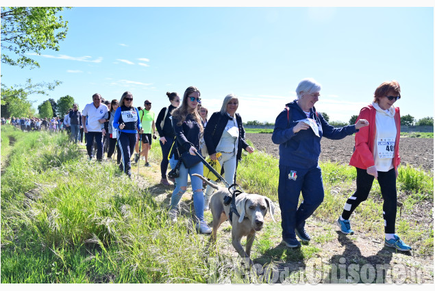 Pinerolo, la "Lions Walk" 3°edizione al Golf di Riva