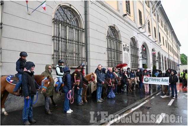 Pinerolo per la fiera di Primavera " Pinerolo in Sella"