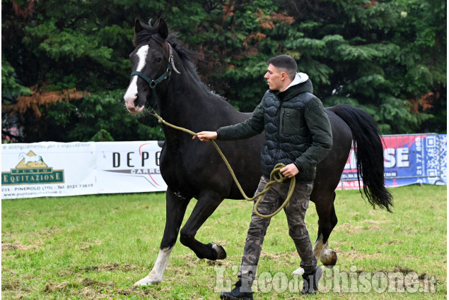 Pinerolo per la fiera di Primavera " Pinerolo in Sella"