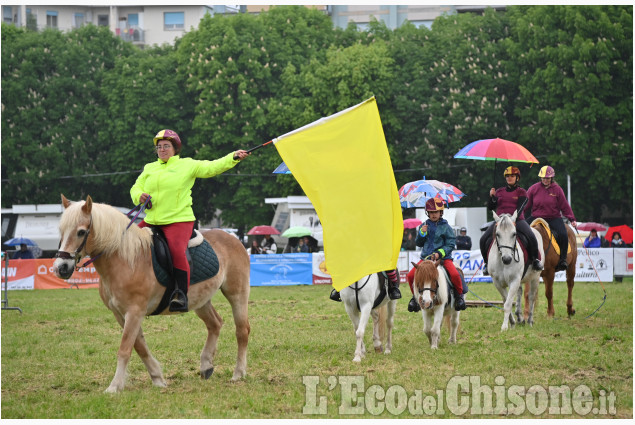 Pinerolo per la fiera di Primavera " Pinerolo in Sella"