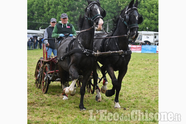 Pinerolo per la fiera di Primavera " Pinerolo in Sella"