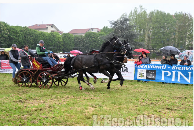 Pinerolo per la fiera di Primavera " Pinerolo in Sella"